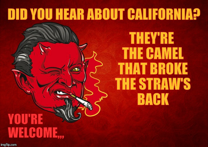 California sucks, dude, but not on straws,,, | THEY'RE THE CAMEL THAT BROKE THE STRAW'S BACK; DID YOU HEAR ABOUT CALIFORNIA? YOU'RE WELCOME,,, | image tagged in memes,the straw crisis of 2018,straw lives matter,california's last straw,straws,the devil's seal of approval   | made w/ Imgflip meme maker