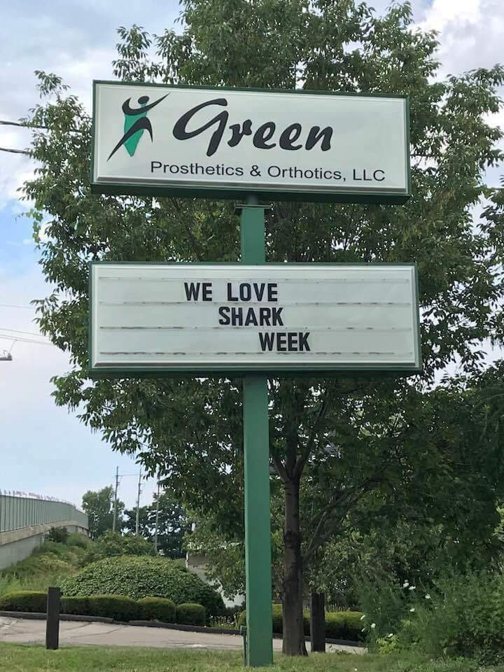 High Quality Shark Week/prosthetics Blank Meme Template