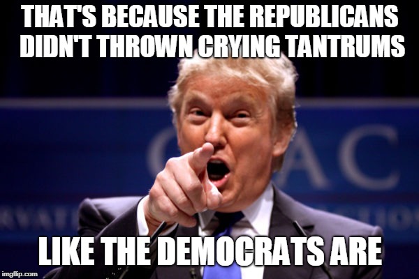 Your President BWHA-HA-HA! | THAT'S BECAUSE THE REPUBLICANS DIDN'T THROWN CRYING TANTRUMS LIKE THE DEMOCRATS ARE | image tagged in your president bwha-ha-ha | made w/ Imgflip meme maker