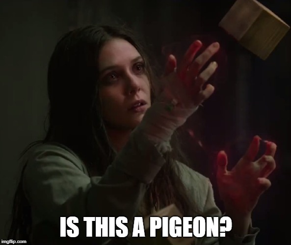 Scarlet Witch crazy | IS THIS A PIGEON? | image tagged in scarlet witch crazy | made w/ Imgflip meme maker