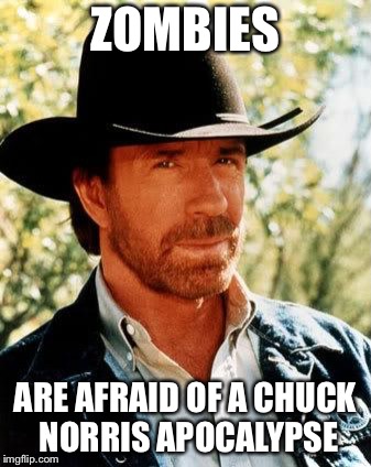 Chuck Norris Meme | ZOMBIES; ARE AFRAID OF A CHUCK NORRIS APOCALYPSE | image tagged in memes,chuck norris | made w/ Imgflip meme maker