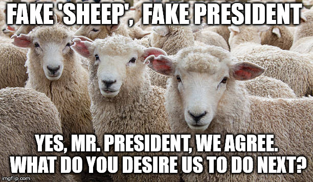 Fake president | FAKE 'SHEEP',  FAKE PRESIDENT; YES, MR. PRESIDENT, WE AGREE. WHAT DO YOU DESIRE US TO DO NEXT? | image tagged in fake sheep,trump | made w/ Imgflip meme maker