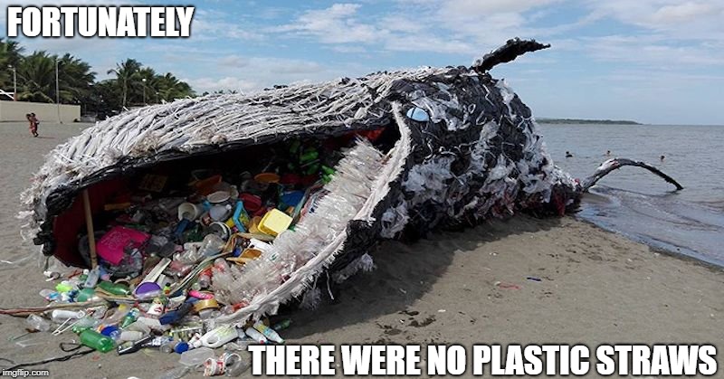 We Are What We Eat | FORTUNATELY; THERE WERE NO PLASTIC STRAWS | image tagged in memes | made w/ Imgflip meme maker