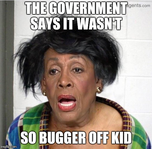 My mom | THE GOVERNMENT SAYS IT WASN'T SO BUGGER OFF KID | image tagged in my mom | made w/ Imgflip meme maker
