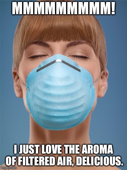 Dust Mask Woman | MMMMMMMMM! I JUST LOVE THE AROMA OF FILTERED AIR, DELICIOUS. | image tagged in dust mask woman | made w/ Imgflip meme maker
