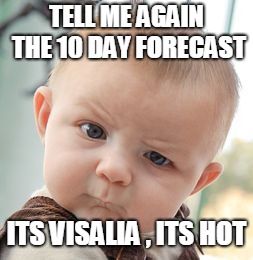 Skeptical Baby | TELL ME AGAIN THE 10 DAY FORECAST; ITS VISALIA , ITS HOT | image tagged in memes,skeptical baby | made w/ Imgflip meme maker