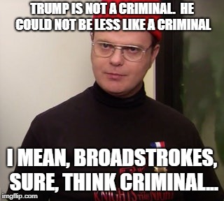 Trump is not a criminal | TRUMP IS NOT A CRIMINAL.  HE COULD NOT BE LESS LIKE A CRIMINAL; I MEAN, BROADSTROKES, SURE, THINK CRIMINAL... | image tagged in trump,donald trump,maga | made w/ Imgflip meme maker