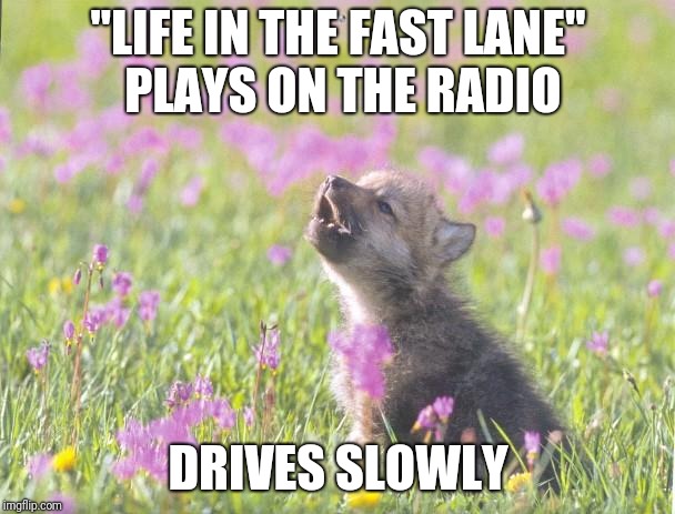 Don't tell me what to do! | "LIFE IN THE FAST LANE" PLAYS ON THE RADIO; DRIVES SLOWLY | image tagged in memes,baby insanity wolf,eagles,rock and roll | made w/ Imgflip meme maker