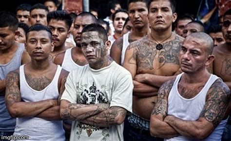 MS13 Family Pic | image tagged in ms13 family pic | made w/ Imgflip meme maker