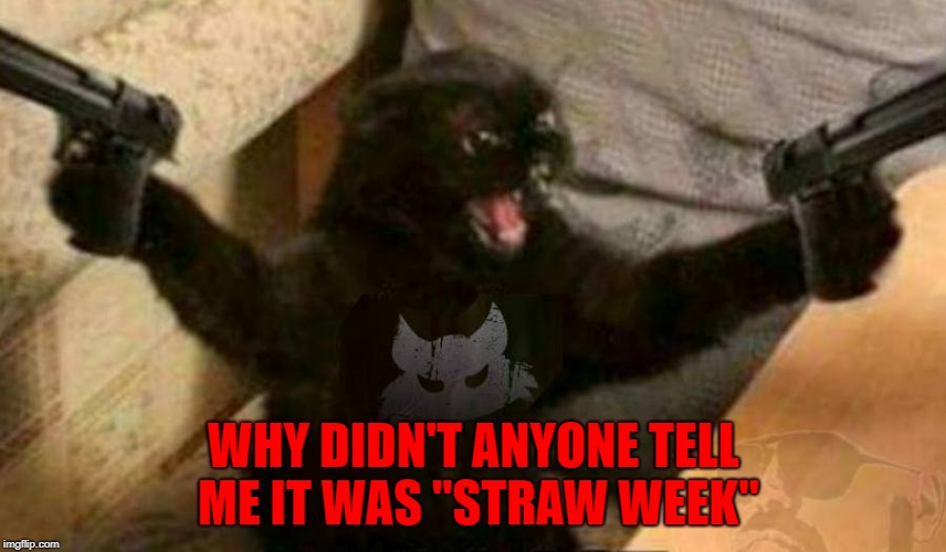 One for non offficial "Straw Week". | WHY DIDN'T ANYONE TELL ME IT WAS "STRAW WEEK" | image tagged in cat with guns,memes,straw memes,funny,cats,animals | made w/ Imgflip meme maker