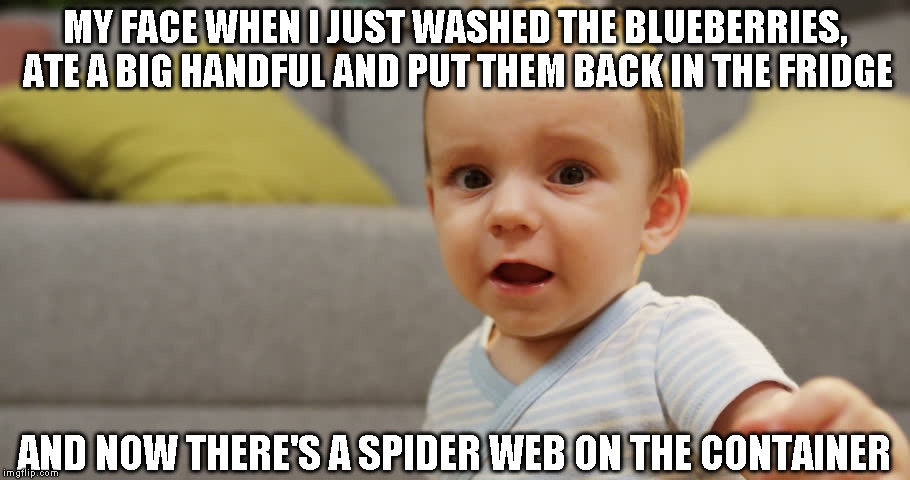 MY FACE WHEN I JUST WASHED THE BLUEBERRIES, ATE A BIG HANDFUL AND PUT THEM BACK IN THE FRIDGE; AND NOW THERE'S A SPIDER WEB ON THE CONTAINER | image tagged in my face when | made w/ Imgflip meme maker