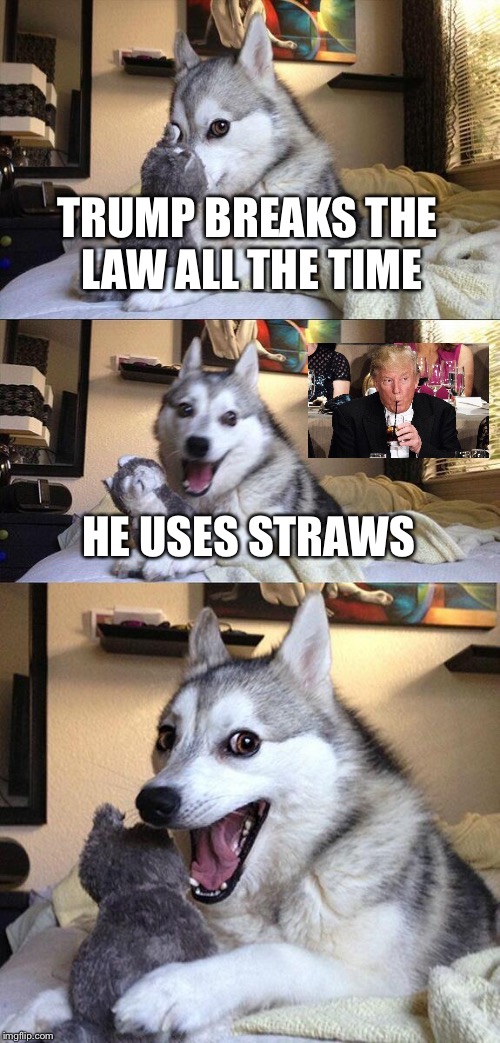 True | TRUMP BREAKS THE LAW ALL THE TIME; HE USES STRAWS | image tagged in memes,bad pun dog | made w/ Imgflip meme maker