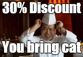 chinese cheff | 30% Discount; You bring cat | image tagged in chinese cheff | made w/ Imgflip meme maker