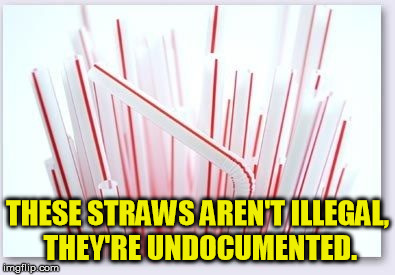 Straws | THESE STRAWS AREN'T ILLEGAL, THEY'RE UNDOCUMENTED. | image tagged in straws | made w/ Imgflip meme maker