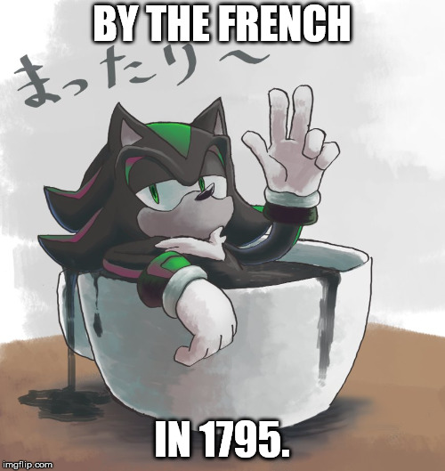 Mephiles Swimming In A Mug | BY THE FRENCH IN 1795. | image tagged in mephiles swimming in a mug | made w/ Imgflip meme maker