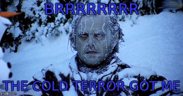 Freezing cold | BRRRRRRRR; THE COLD TERROR GOT ME | image tagged in freezing cold | made w/ Imgflip meme maker