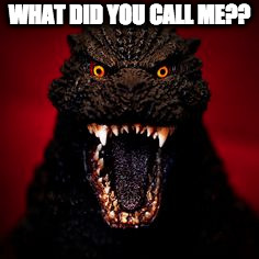 angry | WHAT DID YOU CALL ME?? | image tagged in funny memes | made w/ Imgflip meme maker