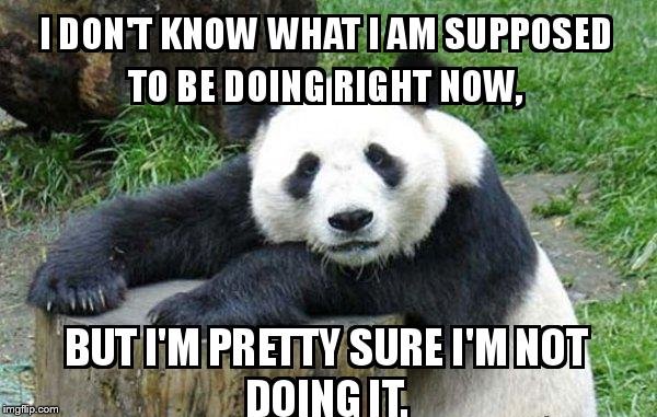 Panda Bear is not working again | . | image tagged in memes,panda,lazy,cute animals,funny | made w/ Imgflip meme maker