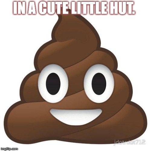 poop | IN A CUTE LITTLE HUT. | image tagged in poop | made w/ Imgflip meme maker