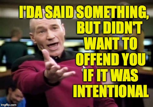 Picard Wtf Meme | I'DA SAID SOMETHING, BUT DIDN'T WANT TO OFFEND YOU IF IT WAS INTENTIONAL | image tagged in memes,picard wtf | made w/ Imgflip meme maker