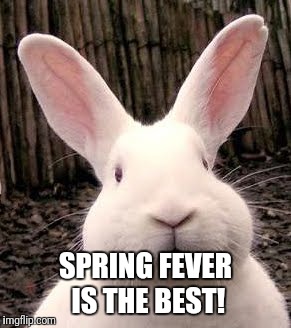 SPRING FEVER IS THE BEST! | made w/ Imgflip meme maker