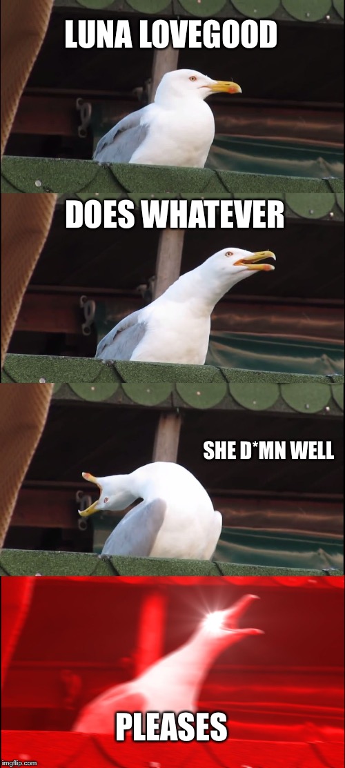 Inhaling Seagull Meme | LUNA LOVEGOOD; DOES WHATEVER; SHE D*MN WELL; PLEASES | image tagged in memes,inhaling seagull | made w/ Imgflip meme maker
