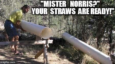 "MISTER   NORRIS?" YOUR  STRAWS  ARE READY!" | made w/ Imgflip meme maker