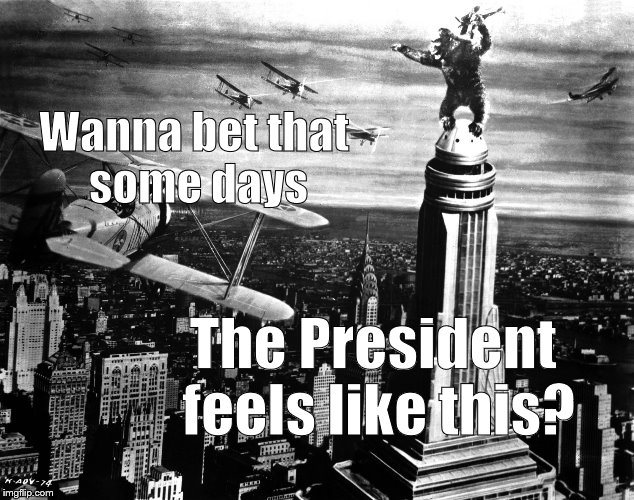 king kong | Wanna bet that some days The President feels like this? | image tagged in king kong | made w/ Imgflip meme maker