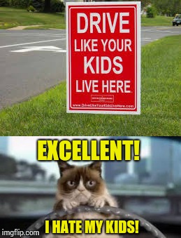 EXCELLENT! I HATE MY KIDS! | image tagged in memes,grumpy cat,grumpy cat driving | made w/ Imgflip meme maker