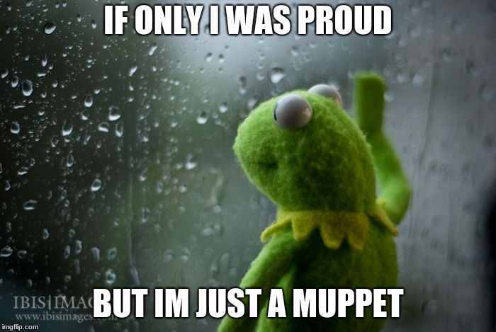 kermit window | IF ONLY I WAS PROUD; BUT IM JUST A MUPPET | image tagged in kermit window | made w/ Imgflip meme maker