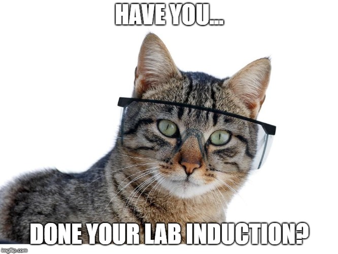 Safety Cat | HAVE YOU... DONE YOUR LAB INDUCTION? | image tagged in safety cat | made w/ Imgflip meme maker