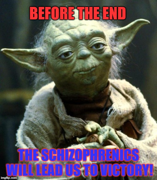 Star Wars Yoda Meme | BEFORE THE END; THE SCHIZOPHRENICS WILL LEAD US TO VICTORY! | image tagged in memes,star wars yoda | made w/ Imgflip meme maker