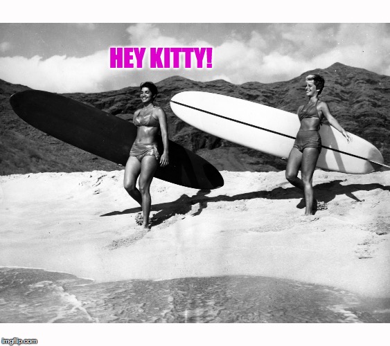 Surfer girls vintage | HEY KITTY! | image tagged in surfer girls vintage | made w/ Imgflip meme maker