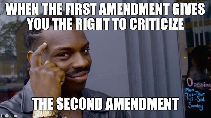 Roll Safe Think About It | WHEN THE FIRST AMENDMENT GIVES YOU THE RIGHT TO CRITICIZE; THE SECOND AMENDMENT | image tagged in memes,roll safe think about it | made w/ Imgflip meme maker