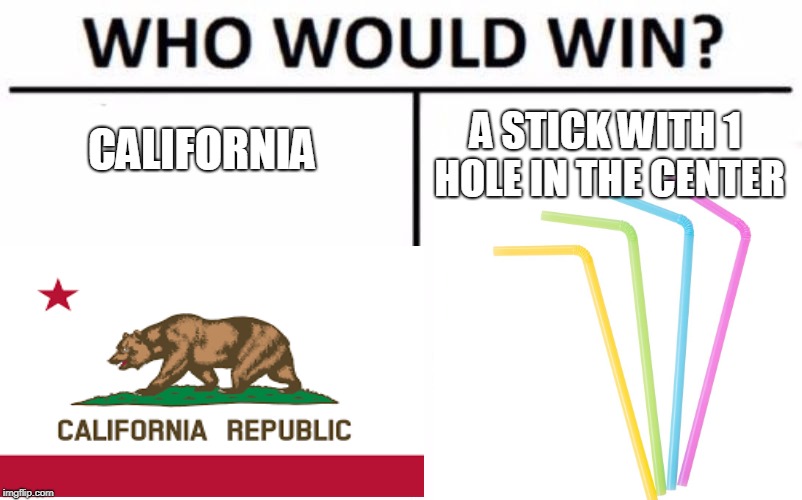 Who Would Win? | CALIFORNIA; A STICK WITH 1 HOLE IN THE CENTER | image tagged in memes,who would win | made w/ Imgflip meme maker