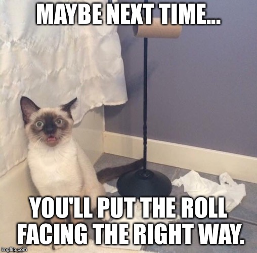 MAYBE NEXT TIME... YOU'LL PUT THE ROLL FACING THE RIGHT WAY. | image tagged in tanya mueller | made w/ Imgflip meme maker
