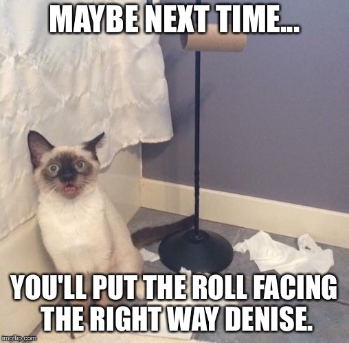 MAYBE NEXT TIME... YOU'LL PUT THE ROLL FACING THE RIGHT WAY DENISE. | image tagged in bloo | made w/ Imgflip meme maker