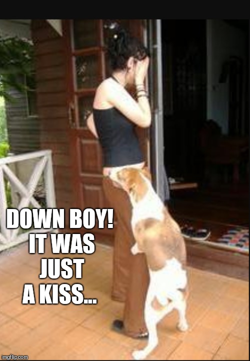 DOWN BOY! IT WAS JUST A KISS... | made w/ Imgflip meme maker