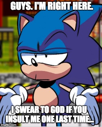 Sonic Bruh | GUYS. I'M RIGHT HERE. I SWEAR TO GOD IF YOU INSULT ME ONE LAST TIME... | image tagged in sonic bruh | made w/ Imgflip meme maker