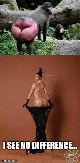 I SEE NO DIFFERENCE... | image tagged in kim kardashian,booty,monkey,yuck | made w/ Imgflip meme maker