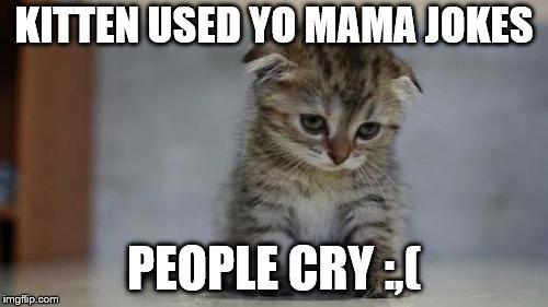 Sad kitten | KITTEN USED YO MAMA JOKES; PEOPLE CRY :,( | image tagged in sad kitten | made w/ Imgflip meme maker