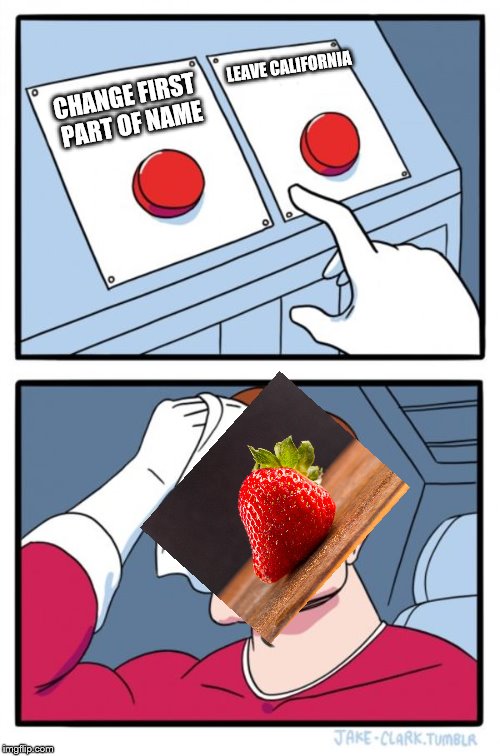 ****berry issues | LEAVE CALIFORNIA; CHANGE FIRST PART OF NAME | image tagged in straws,california,stupid law,strawberry | made w/ Imgflip meme maker