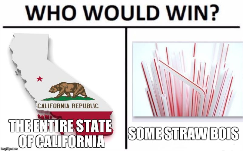 Who Would Win? Meme | THE ENTIRE STATE OF CALIFORNIA; SOME STRAW BOIS | image tagged in memes,who would win | made w/ Imgflip meme maker