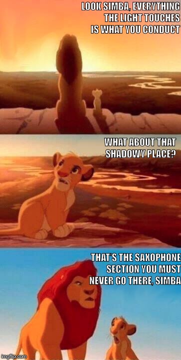 Everything the Light Touches | LOOK SIMBA, EVERYTHING THE LIGHT TOUCHES IS WHAT YOU CONDUCT; WHAT ABOUT THAT SHADOWY PLACE? THAT’S THE SAXOPHONE SECTION YOU MUST NEVER GO THERE, SIMBA | image tagged in everything the light touches | made w/ Imgflip meme maker