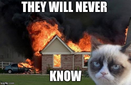 Burn Kitty | THEY WILL NEVER; KNOW | image tagged in memes,burn kitty,grumpy cat | made w/ Imgflip meme maker