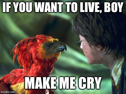 Phoenix Harry potter | IF YOU WANT TO LIVE, BOY; MAKE ME CRY | image tagged in phoenix harry potter | made w/ Imgflip meme maker