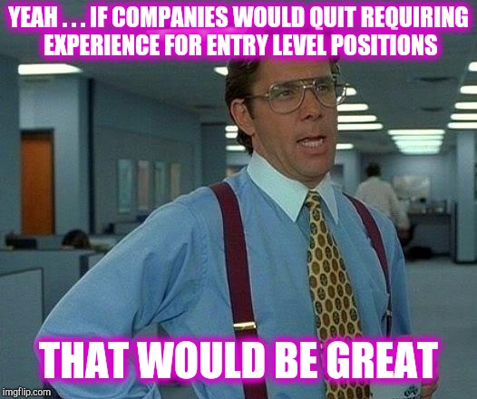 That Would Be Great Meme | YEAH . . . IF COMPANIES WOULD QUIT REQUIRING EXPERIENCE FOR ENTRY LEVEL POSITIONS THAT WOULD BE GREAT | image tagged in memes,that would be great | made w/ Imgflip meme maker