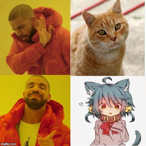 I love neko girls :3 | image tagged in anime,cats,drake | made w/ Imgflip meme maker