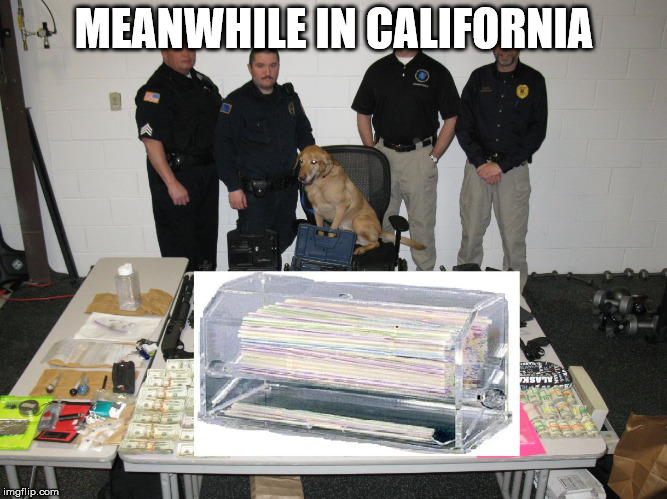 MEANWHILE IN CALIFORNIA | image tagged in plastic straws | made w/ Imgflip meme maker