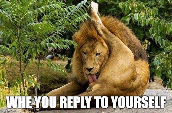 lion licking balls | WHE YOU REPLY TO YOURSELF | image tagged in lion licking balls | made w/ Imgflip meme maker